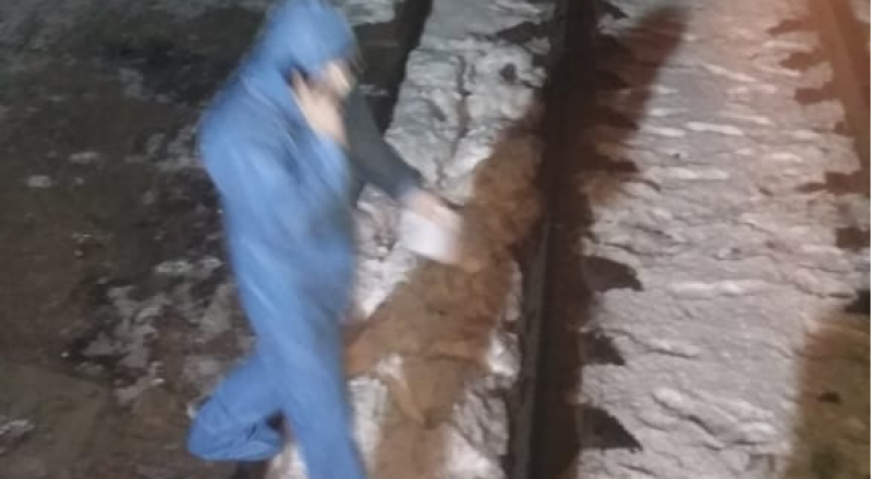 Сурет Әлеуметтік желіден