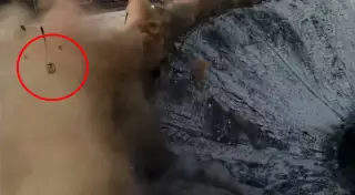 Ресейде спорт кешені опырылды: Оқиғаның видеосы таралды