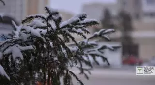 1 ақпанда ауа райы қандай болады?