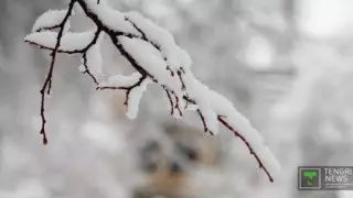 Нұр-Сұлтанда және екі облыста ауа райының қолайсыздығына байланысты ескерту жарияланды