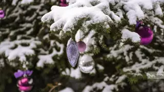 Алдағы күндері ауа райы қандай болады?