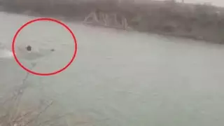 Түркістан облысында суға батқан баланы құтқару сәті видеоға түсірілді