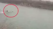 Түркістан облысында суға батқан баланы құтқару сәті видеоға түсірілді