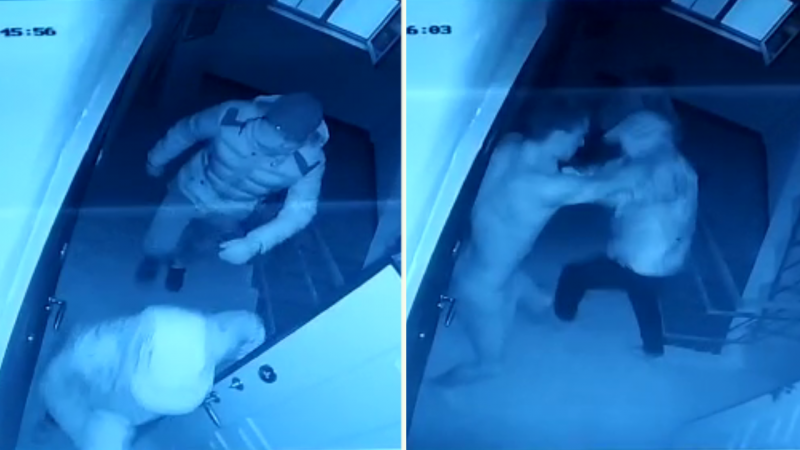 видеодан үзінді