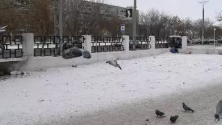 Павлодар облысының жаңа әкімі қала атауын өзгертуге қатысты пікір білдірді