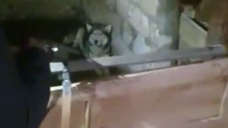 Видео кадры