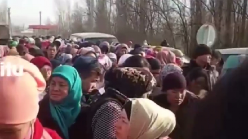 видеодан үзінді