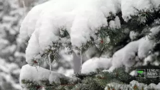 Алдағы күндері ауа райы қандай болады?