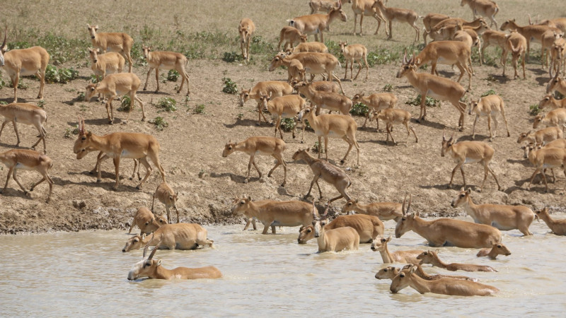 © Яков Федеров