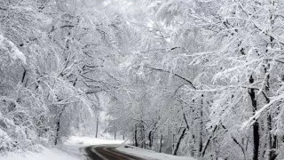 Алдағы күндері ауа райы қандай болады?