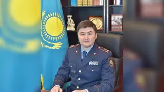 ІІМ Қылмыстық-атқару жүйесі комитетінің төрағасы тағайындалды