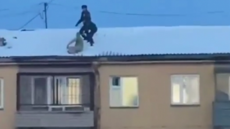 Видео кадры