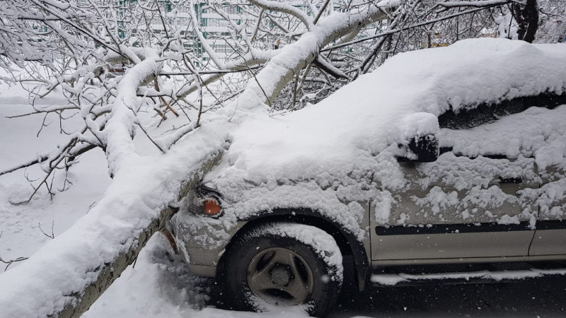 Сурет әлеуметтік желіден