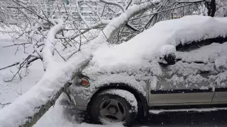 Таулы аймақтарға баруды кейінге шегеруді сұраймын - Сағынтаев