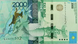 Еркек жыныс мүшесінің басы