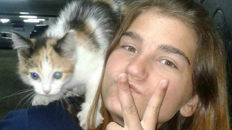 © Мой Город