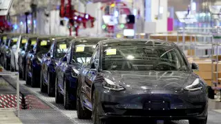 Tesla Германияда зауыт салу үшін орманды жойып жатыр