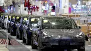 Tesla Германияда зауыт салу үшін орманды жойып жатыр