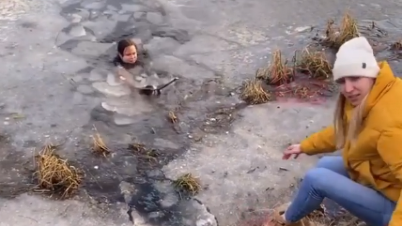 видеодан үзінді