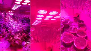 Алматы облысында есірткі зертханасы анықталды