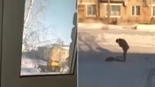 Қызды трактор басып кетті. Оқиғаның видеосы таралды