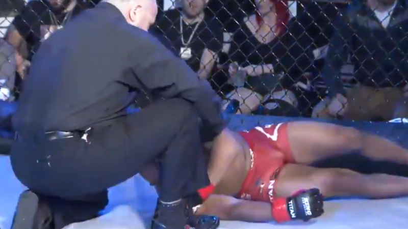 видеодан үзінді