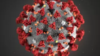 "Коронавирус діни орында таралған". Тоғжанов қазақстандықтарға сақ болуға кеңес берді