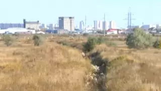 Алты баланың әкесі әйелінің үстіне бензин шашып, от қойған