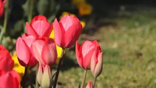 8 наурызда ауа райы қандай болады?