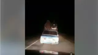 Көлік төбесіне адам отырғызған жүргізуші жауапқа тартылды