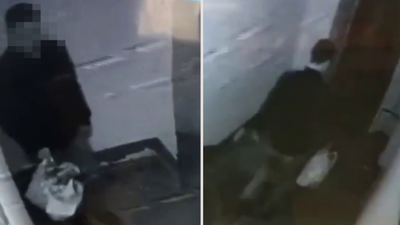 Видеодан алынған кадр