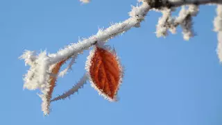 Нұр-Сұлтанда қар жауып, көктайғақ болады