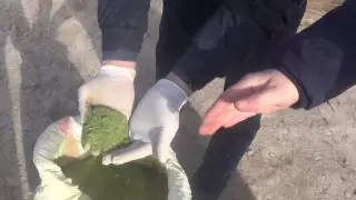 Жамбыл облысында ер адам 35 келі есірткімен ұсталды