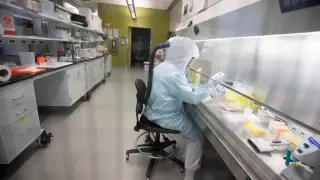 Қазақстанда тағы 7 адам коронавирус жұқтырды