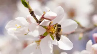 Алдағы күндері ауа райы қандай болады?