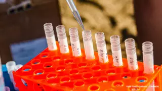 Ресейлік ғалымдар коронавирусқа қарсы үш дәрі әзірледі