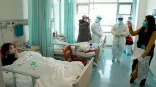 СҚО-да әкімдіктің үш қызметкері коронавирус жұқтырған