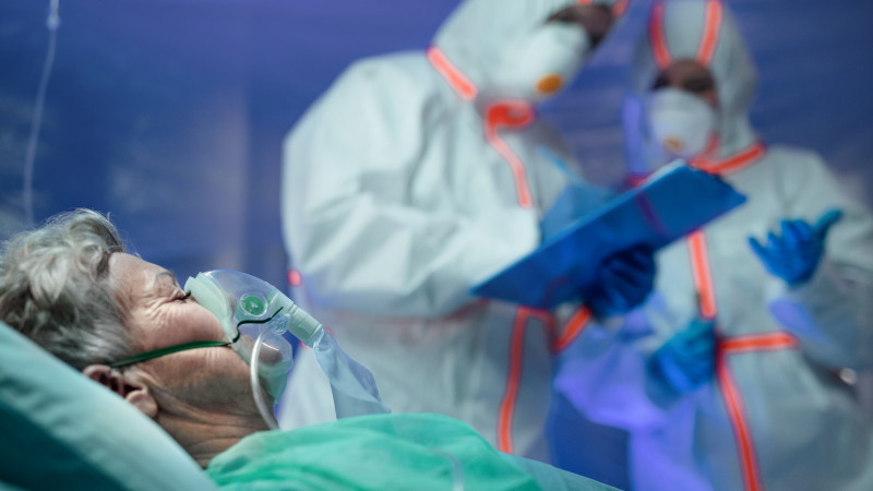 Көрнекі сурет: elements.envato.com