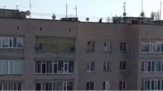 Оралда ұлымен 9 қабатты үйдің шатырында серуендеген ер адам видеоға түсіп қалды