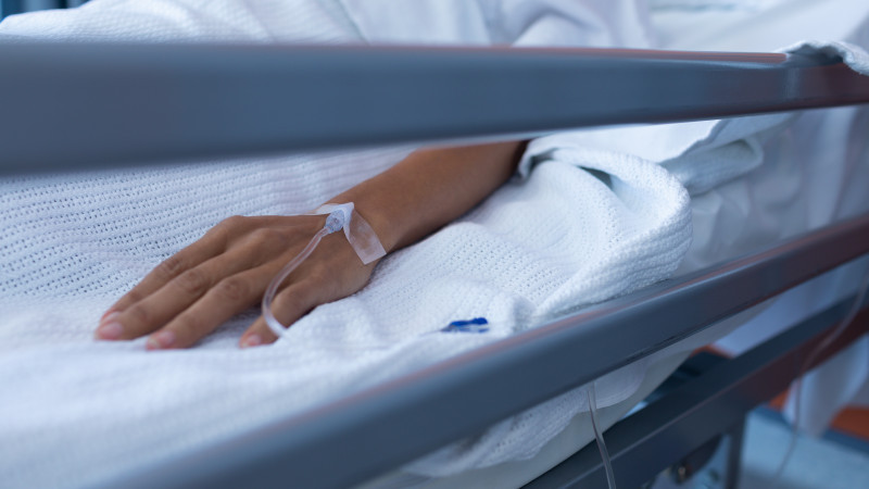 Сурет: elements.envato.com