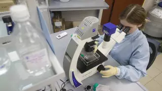 Түркияда коронавирусқа қарсы вакцина сынақтан сәтті өтті