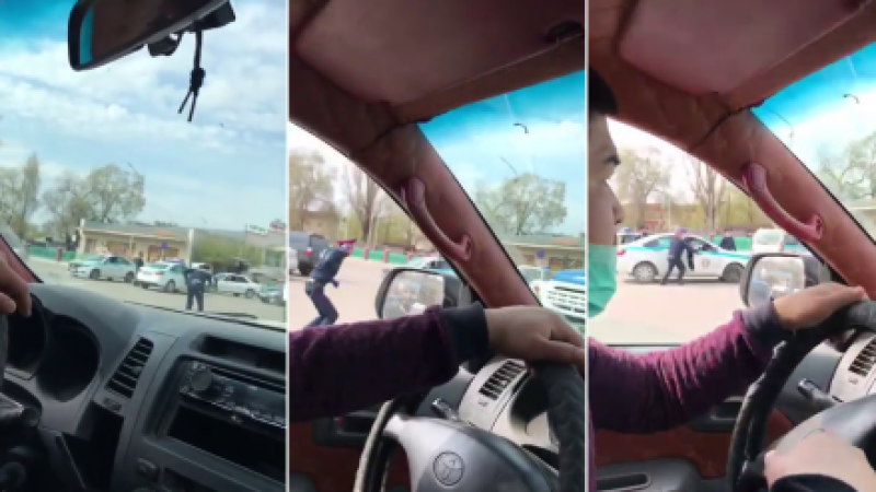 Видеодан алынған кадр