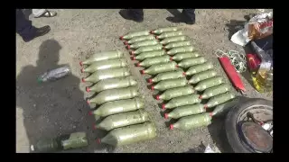 Қызылорда облысында 20 келіден аса марихуана тәркіленді