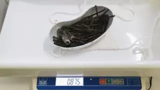 Ақмола облысында ер адамның асқазанынан 112 шеге табылған