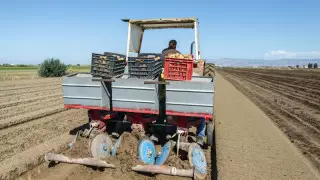 Фермерлерге блокбекеттер арқылы еркін өтуге рұқсат берілді