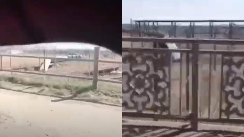 Видеодан алынған скриншот