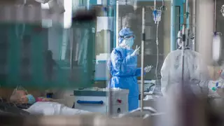 Қызы Уханнан шашы ағарып келген әкесін танымай қалды