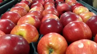 Қарағанды тұрғыны чектерді сақтап, алманың бағасы қалай өзгеріп отырғанын көрсетті