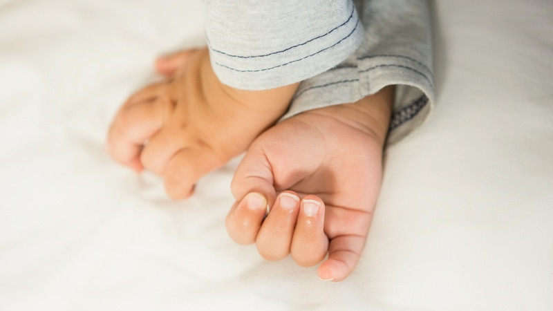 Көрнекі сурет: elements.envato.com