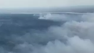 ШҚО-да орман өртінің аумағы 6 есе ұлғайды